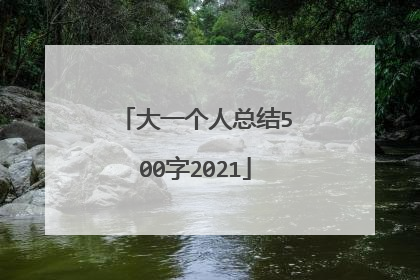 大一个人总结500字2021