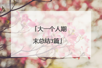 大一个人期末总结3篇