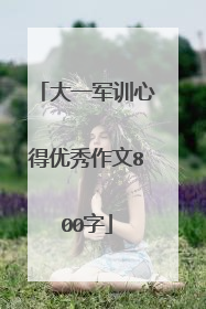 大一军训心得优秀作文800字