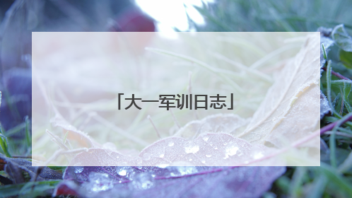 大一军训日志