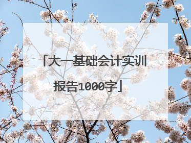 大一基础会计实训报告1000字