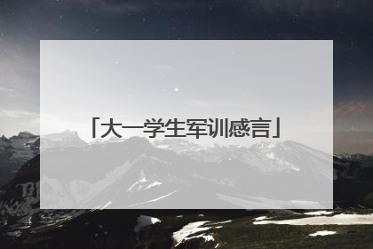 大一学生军训感言