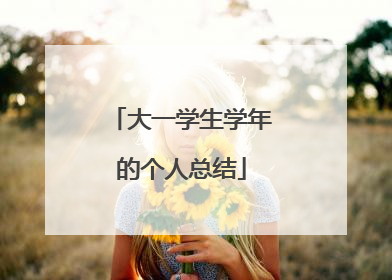 大一学生学年的个人总结