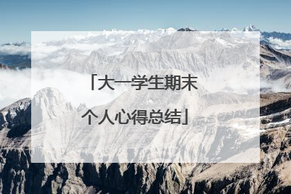 大一学生期末个人心得总结