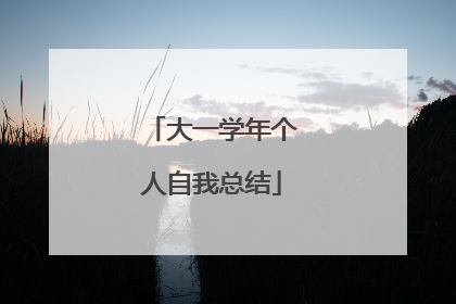 大一学年个人自我总结