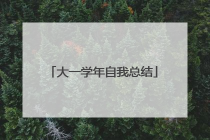 大一学年自我总结