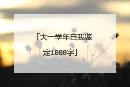 大一学年自我鉴定1000字