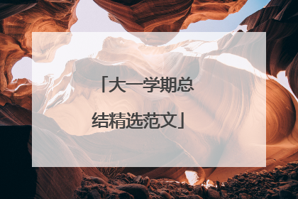 大一学期总结精选范文