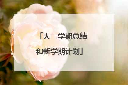 大一学期总结和新学期计划