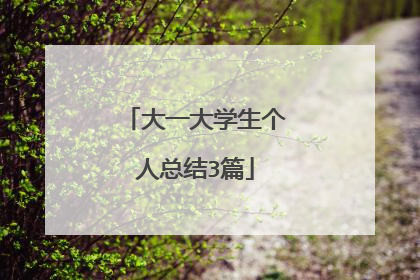 大一大学生个人总结3篇