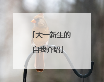 大一新生的自我介绍
