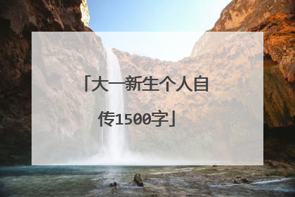 大一新生个人自传1500字