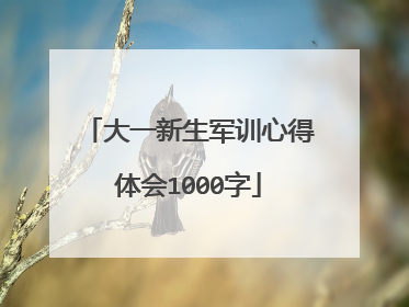 大一新生军训心得体会1000字