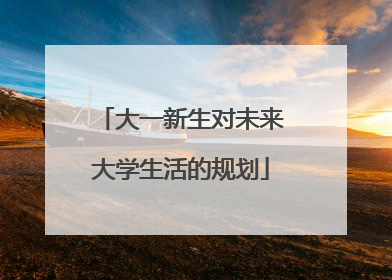 大一新生对未来大学生活的规划