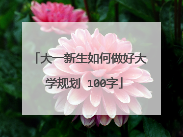 大一新生如何做好大学规划 100字