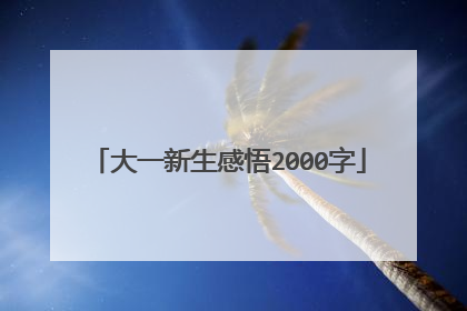 大一新生感悟2000字