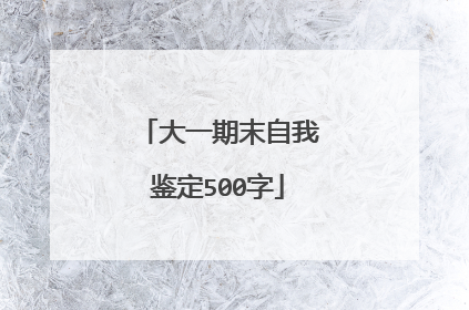 大一期末自我鉴定500字