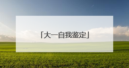 大一自我鉴定