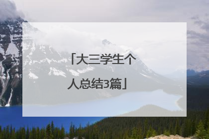 大三学生个人总结3篇