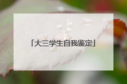 大三学生自我鉴定
