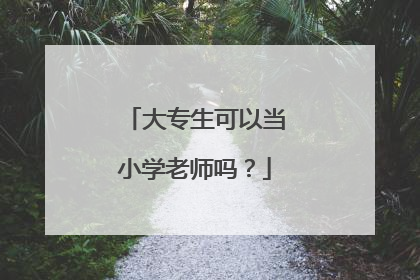 大专生可以当小学老师吗?