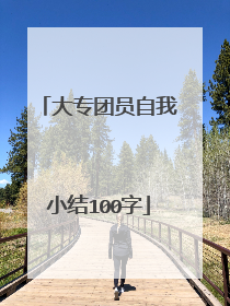大专团员自我小结100字