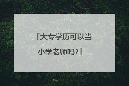 大专学历可以当小学老师吗?