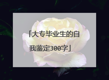 大专毕业生的自我鉴定300字