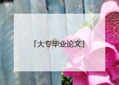 大专毕业论文