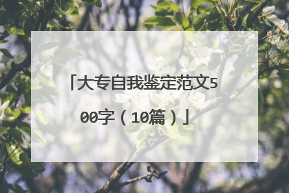 大专自我鉴定范文500字（10篇）