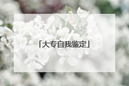 大专自我鉴定