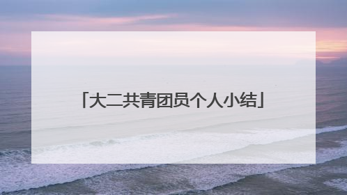 大二共青团员个人小结