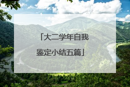 大二学年自我鉴定小结五篇