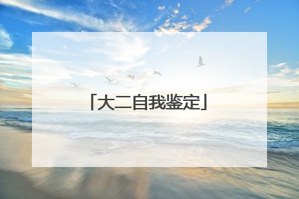 大二自我鉴定