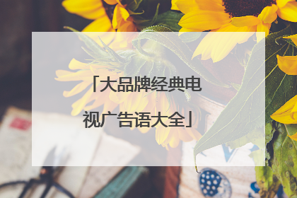 大品牌经典电视广告语大全