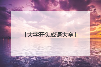 大字开头成语大全