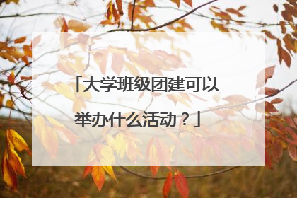 大学班级团建可以举办什么活动?
