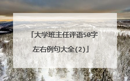 大学班主任评语50字左右例句大全(2)