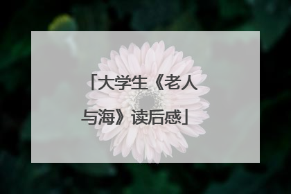 大学生《老人与海》读后感