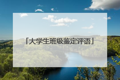 大学生班级鉴定评语