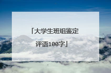 大学生班组鉴定评语100字