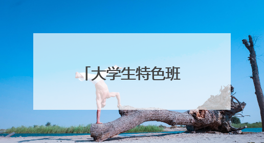 大学生特色班级活动方案