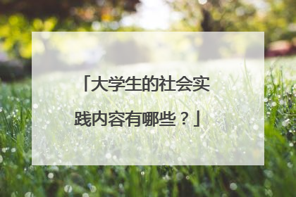 大学生的社会实践内容有哪些？