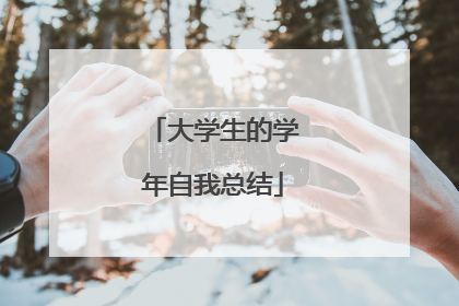 大学生的学年自我总结