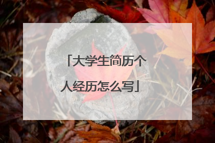 大学生简历个人经历怎么写