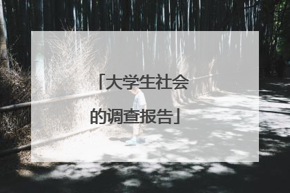 大学生社会的调查报告