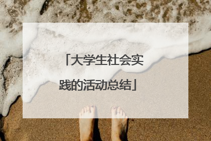 大学生社会实践的活动总结