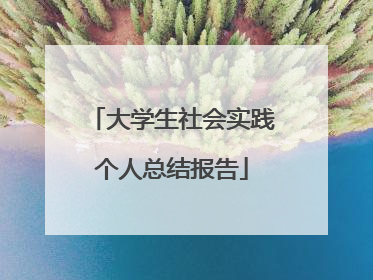 大学生社会实践个人总结报告