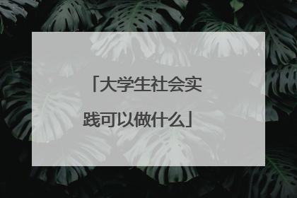 大学生社会实践可以做什么