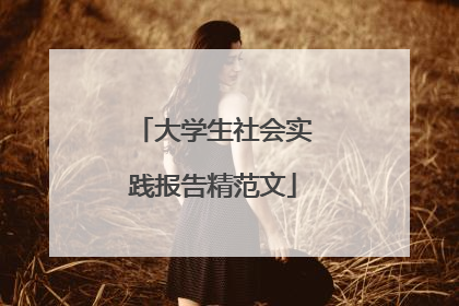 大学生社会实践报告精范文